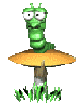 Animated Worm Sitting On A Mushroom